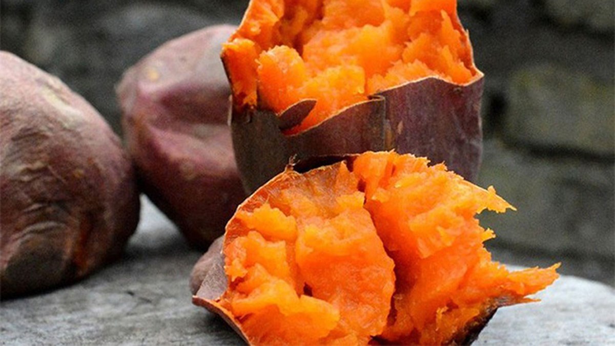 Nhớ những mùa khoai lang lên mật
